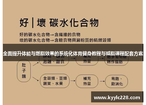 全面提升体能与燃脂效果的系统化体育健身教程与减脂课程配套方案